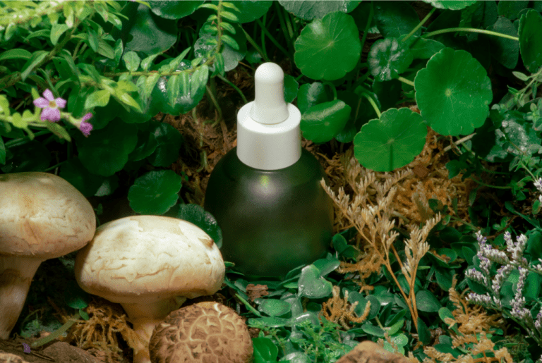 Cosmetics product surrounded by nature