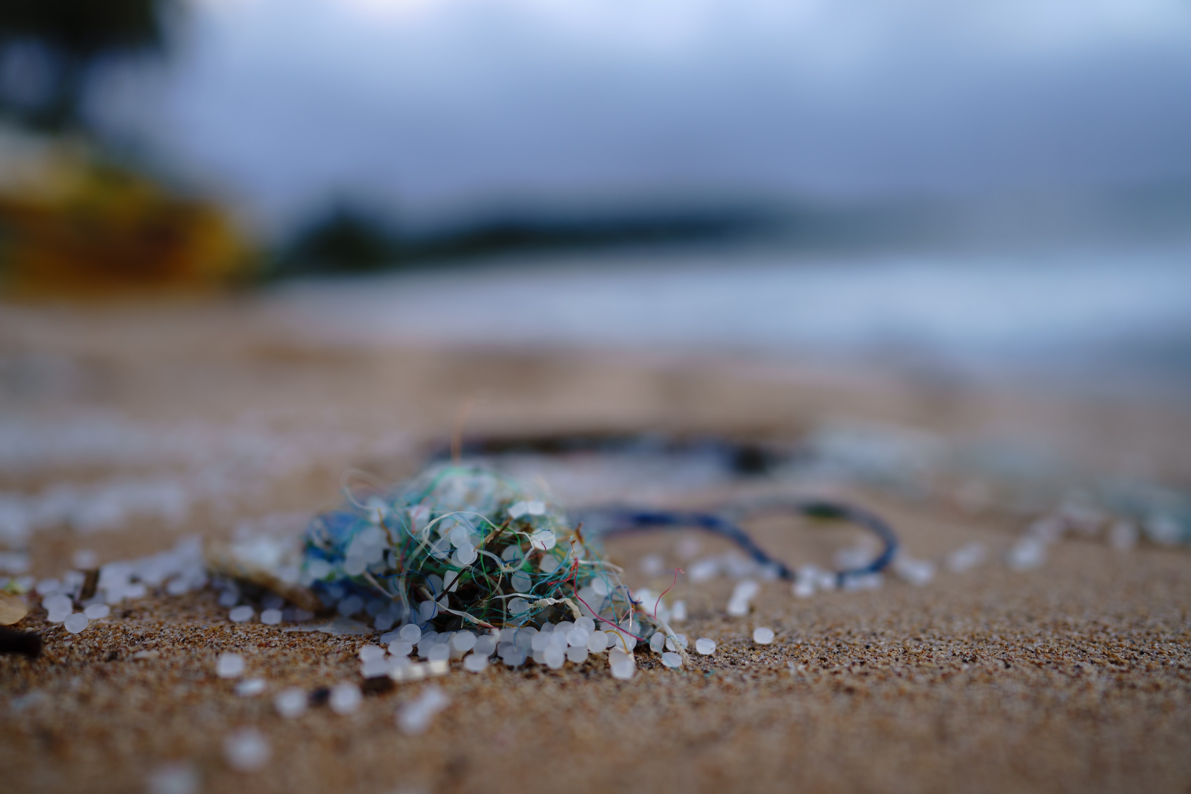 polymer beads on the beach