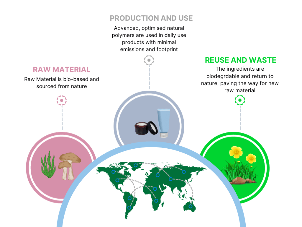 description of the circular economy and sustainability